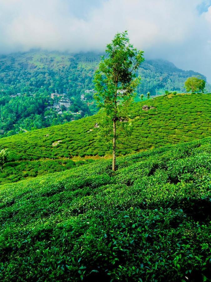Tea & Sky Munnar Apartment Exterior foto